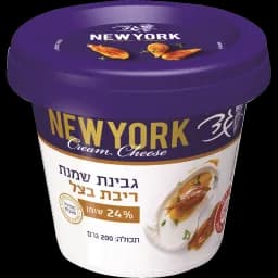גבינת שמנת ריבת בצל 24%