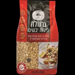 גרנולה עם פירות